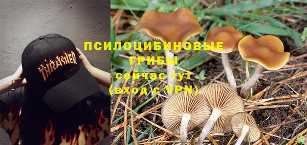 марки lsd Алексеевка