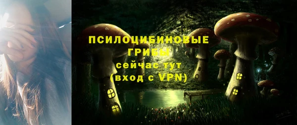 a pvp Алзамай