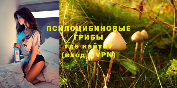 a pvp Алзамай