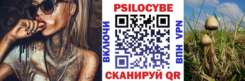 Галлюциногенные грибы мухоморы  Наволоки 